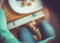 Cachorro - Reprodução/iStock
