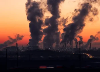 Cinco municípios estão se adaptando à crise climática no Brasil - Imagem: Pixabay