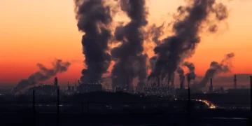 Cinco municípios estão se adaptando à crise climática no Brasil - Imagem: Pixabay