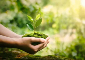 Ecossistema - Reprodução/iStock
