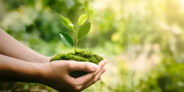 Ecossistema - Reprodução/iStock