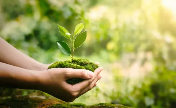 Ecossistema - Reprodução/iStock