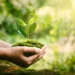 Ecossistema - Reprodução/iStock