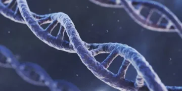 Genética - Reprodução/iStock