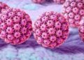 HPV - Reprodução