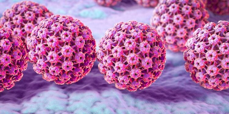 HPV - Reprodução