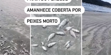 peixes guarujá sp