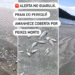 peixes guarujá sp