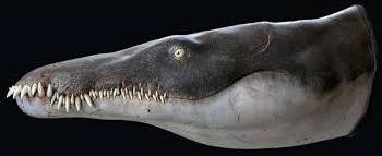 Cientistas identificam pliossauro gigante: predador marinho tinha o dobro do tamanho de uma orca. Foto: Reprodução