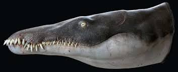 Cientistas identificam pliossauro gigante: predador marinho tinha o dobro do tamanho de uma orca. Foto: Reprodução