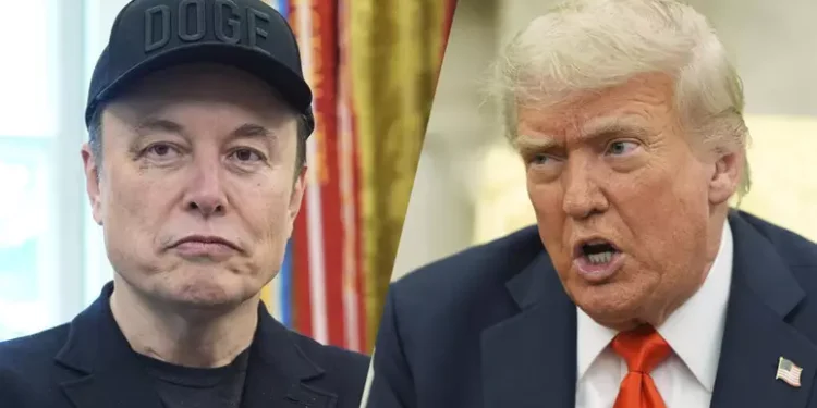 Elon Musk e Donald Trump - Reprodução