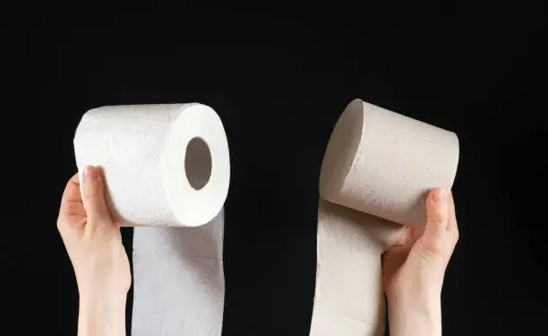 Papel Higiênico - Reprodução/iStock