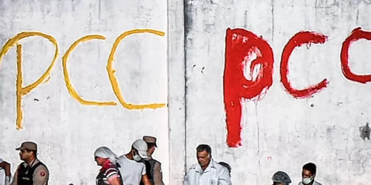 PCC - Reprodução