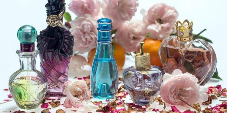 Perfumes que vão surpreender pelo cheiro e valor - Imagem: Pixabay