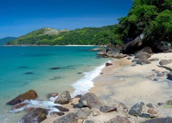 Praias de Ubatuba - Reprodução