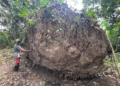 Descoberta de urnas funerárias e rituais na Amazônia - Reprodução