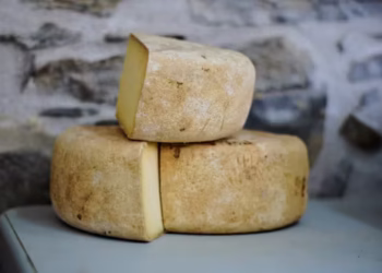 Queijo - Reprodução/iStock