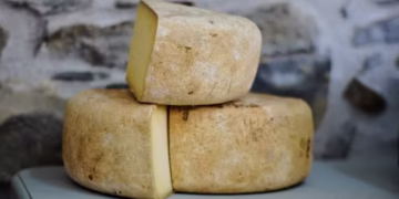 Queijo - Reprodução/iStock