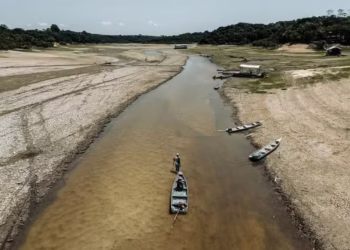 Uma imagem do projeto “Secas na Amazônia”, de Musuk Nolte, da Fundação Bertha, é finalista do World Press Photo do Ano em 2025. — Foto: Musuk Nolte / CAIXA Cultural RJ