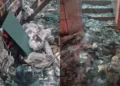 500 kg de vidro cai por cima de rapaz de 23 anos - Imagem: Divulgação/Corpo de Bombeiros