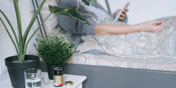 Estudo mostra que plantas em quartos de hospital tem efeito positivo