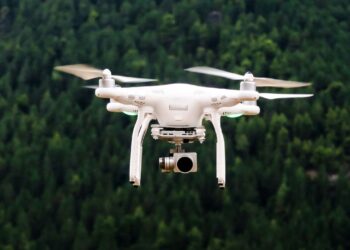 UNESP desenvolve drones que imitam animais da fauna nacional