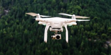 UNESP desenvolve drones que imitam animais da fauna nacional
