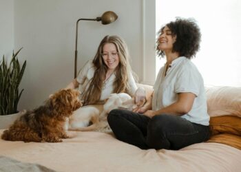 Centro de pesquisa usa inteligência artificial para falar com animais
