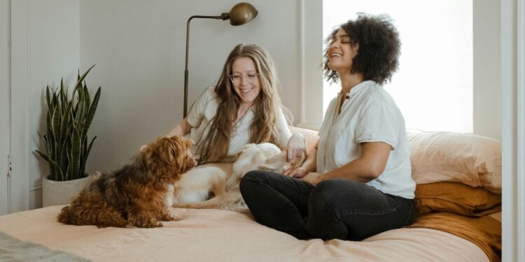 Centro de pesquisa usa inteligência artificial para falar com animais