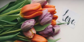 Estudos mostram que cultivar flores ajuda a saúde mental e foco