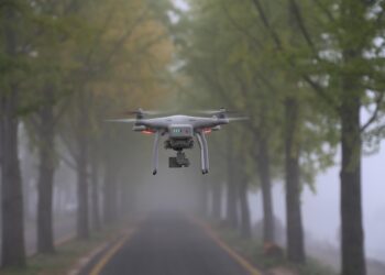 Da Vinci pode ter criado drones silenciosos há 500 anos - Imagem: Pixabay