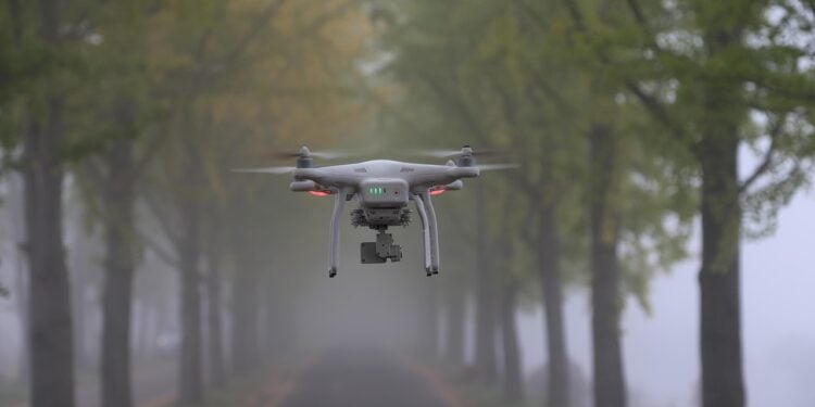 Da Vinci pode ter criado drones silenciosos há 500 anos - Imagem: Pixabay