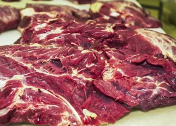 Valor da picanha pode cair para milhares de brasileiros por causa dos EUA - Imagem: Marcello Casal Jr/Agência Brasil