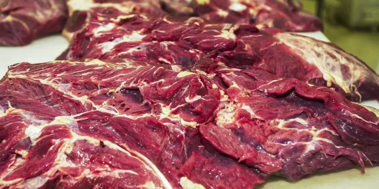 Valor da picanha pode cair para milhares de brasileiros por causa dos EUA - Imagem: Marcello Casal Jr/Agência Brasil