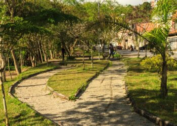 O bairro de São Paulo com a maior extensão de área verde vai surpreender - Imagem: Divulgação/Prefeitura de São Paulo
