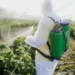 Agrotóxicos - Reprodução/Unsplash