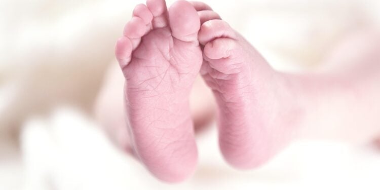 Bebê absorve testosterona do pai e sofre alterações no corpo - Imagem: Pixabay