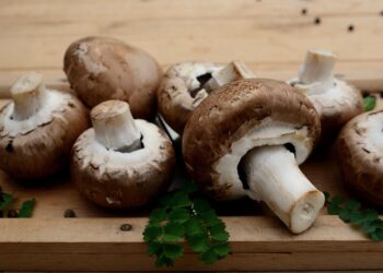 Mulher é condenada por matar a família usando cogumelos - Imagem: Pixabay