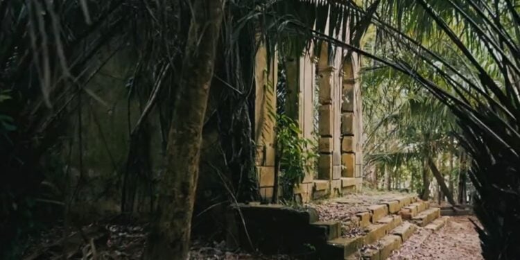 Casas abandonadas e cenas de filme de terror são realidades nessa cidade - Imagem: Reprodução/TV Globo