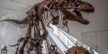 Dinossauro - Reprodução/iStock