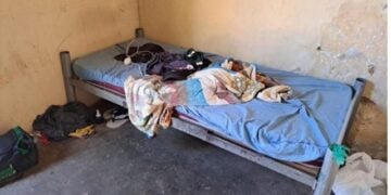 Fornecedora do Butantan é alvo por práticas análogas à escravidão - Imagem: Divulgação/Ministério do Trabalho e Emprego