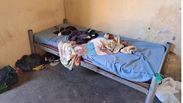 Fornecedora do Butantan é alvo por práticas análogas à escravidão - Imagem: Divulgação/Ministério do Trabalho e Emprego
