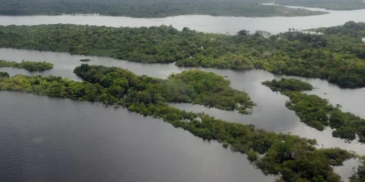 Pesquisa conclui que 83% das espécies amazônicas correm perigo - Imagem: Valter Campanato/Agência Brasil