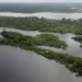 Pesquisa conclui que 83% das espécies amazônicas correm perigo - Imagem: Valter Campanato/Agência Brasil