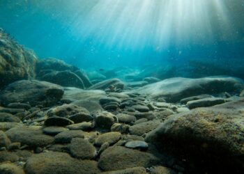 Foto: Yannis Papanastasopoulos/Unsplash