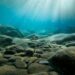 Foto: Yannis Papanastasopoulos/Unsplash