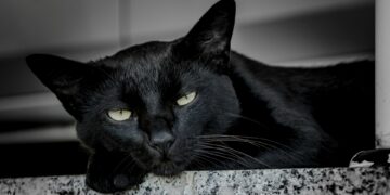 Foto: Antonino Visalli/Unsplash