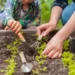 Horta - Reprodução/iStock