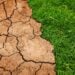 Humanidade tem apenas três anos para reverter a extinção em massa - Imagem: Pixabay