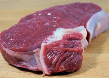 Influenciador que pregava vida ancestral com carne crua é desmascarado - Imagem: Pixabay